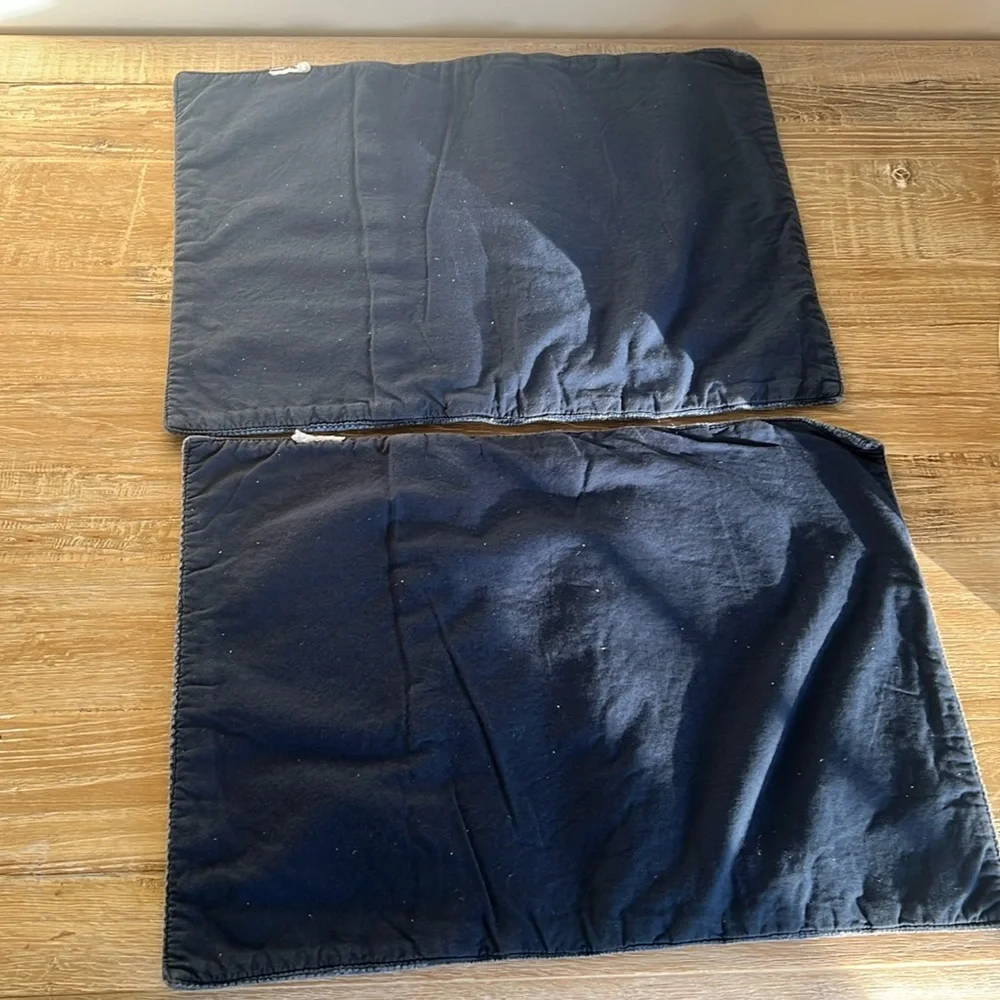 West Elm Set of Two Navy Placemats